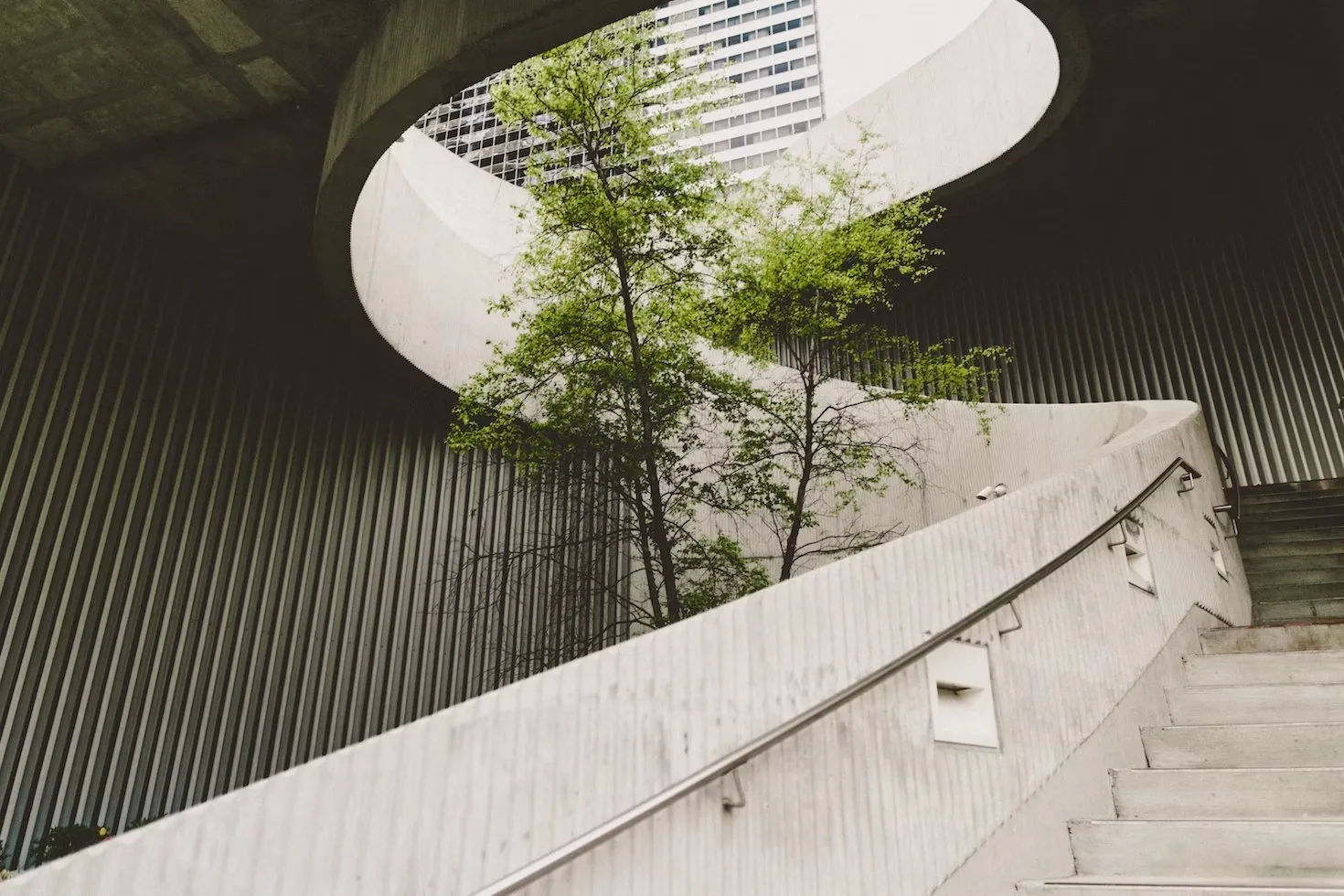 Concrete stair winding around a tree